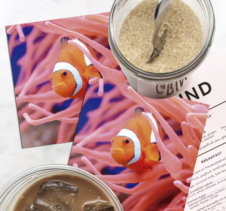 美丽的小丑鱼，在海水鱼过山车 - TenStickers