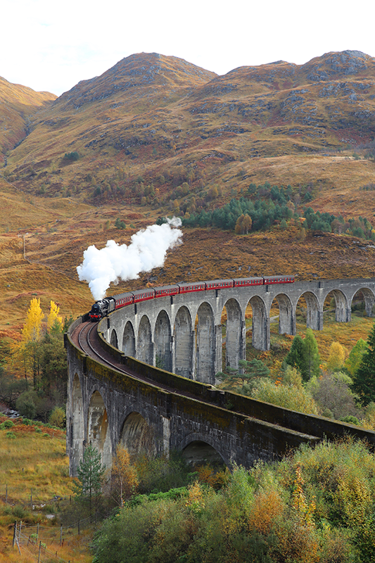 写实照片海报动态列车 - TenStickers