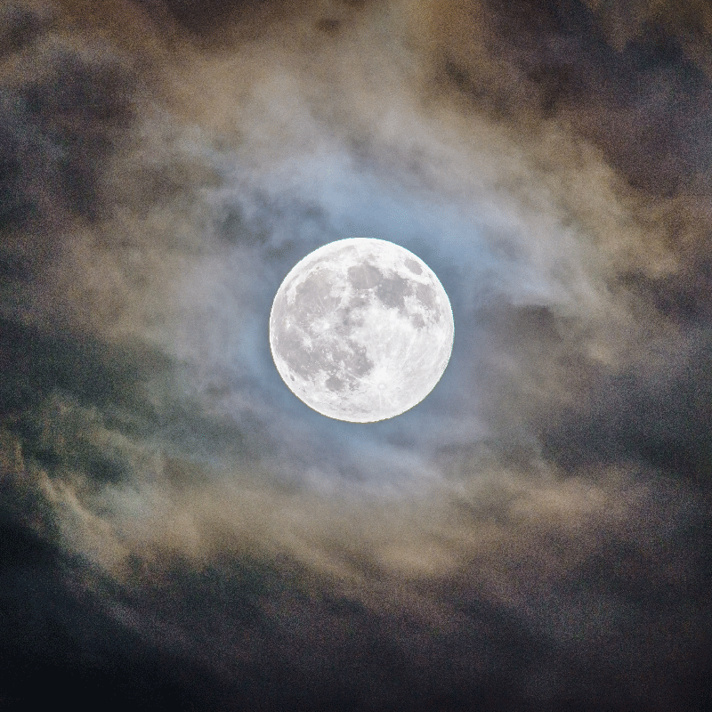 客厅海报满月之夜 - TenStickers