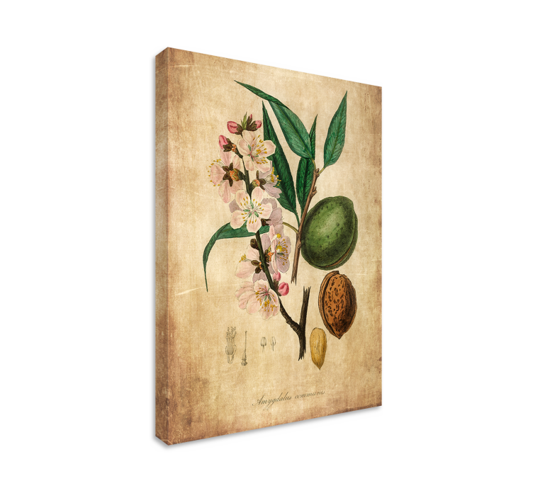 盲人视觉训练植物插图 - TenStickers