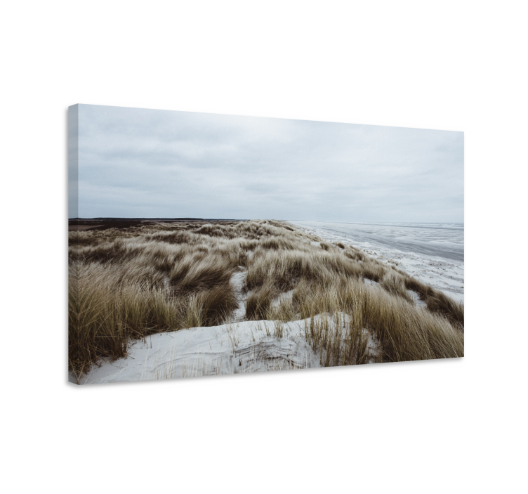 盲人游览风景，海岸沙丘美景 - TenStickers