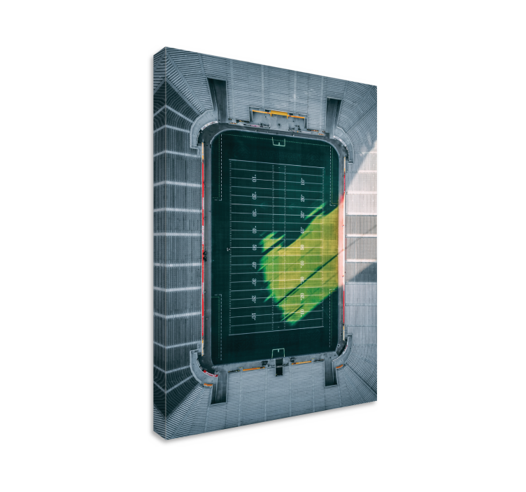 盲人体育空中体育场视角 - TenStickers