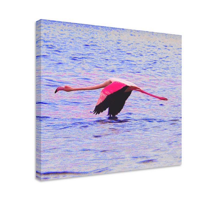 漂亮的火烈鸟在水入口画布艺术上 - TenStickers