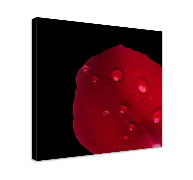 盲人视觉训练玫瑰花瓣细节 - TenStickers