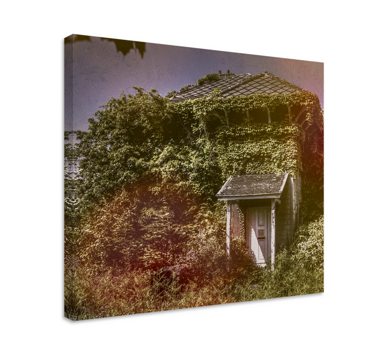 盲人乡村发展遗弃的乡村小屋 - TenStickers