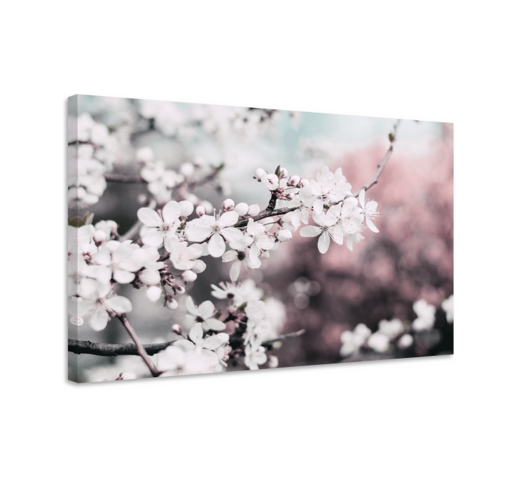 盲人视觉训练白色樱花 - TenStickers