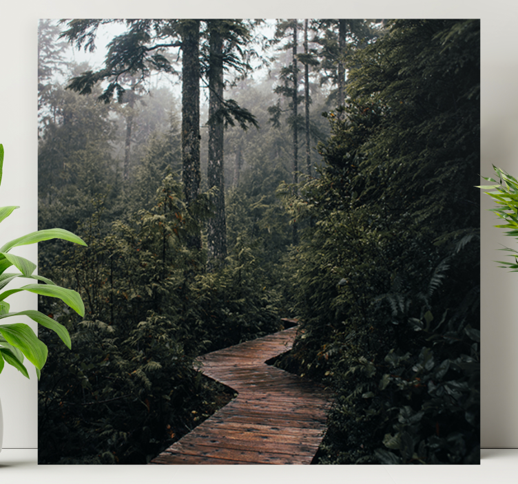 盲人游览风景：宁静的林间小道 - TenStickers