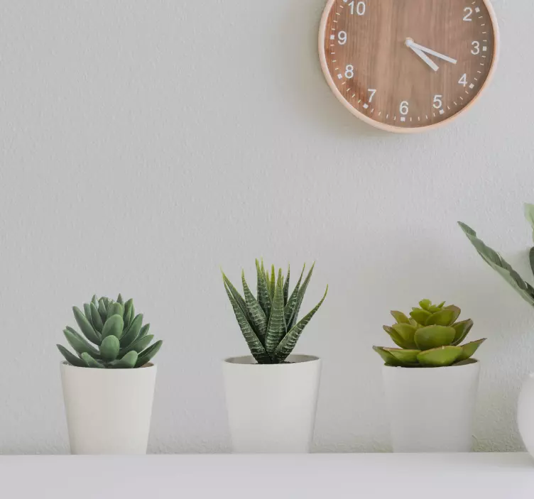 3d仙人掌花盆壁画贴纸 - TenStickers