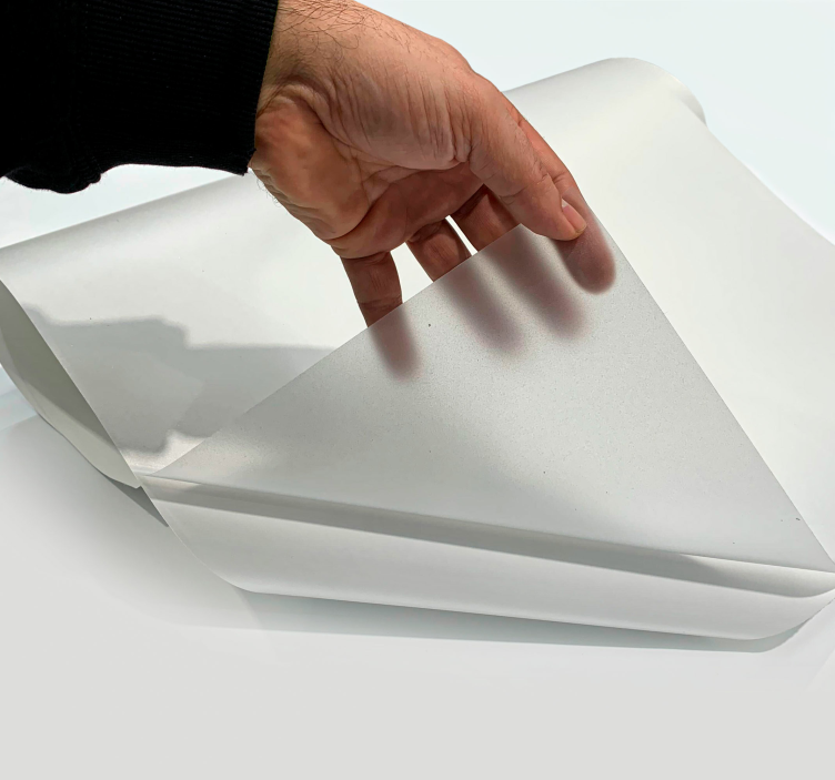 车窗贴纸 透明的基本 - TenStickers