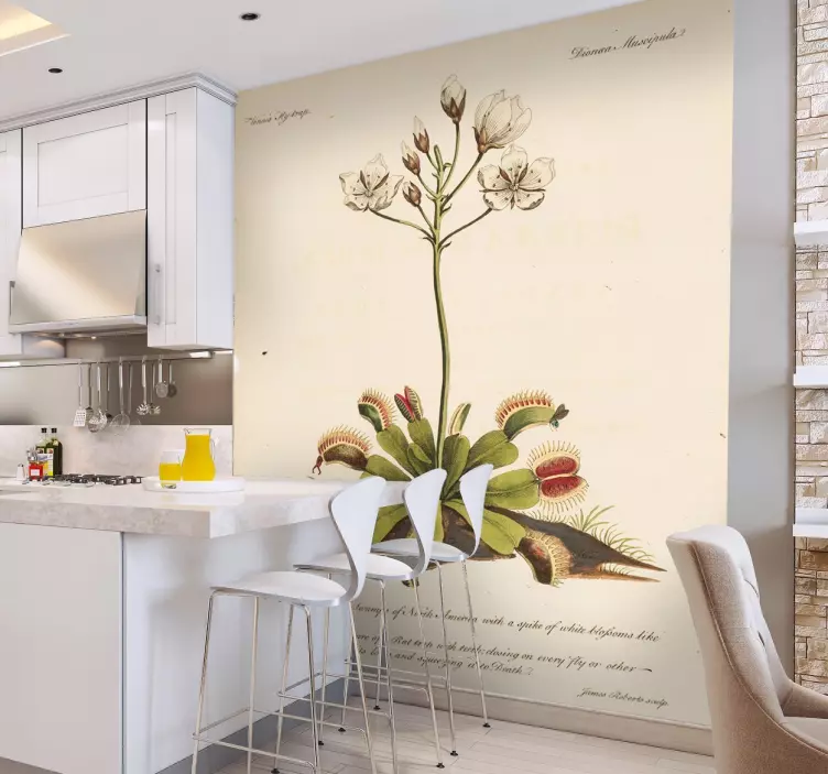 老植物学花贴 - TenStickers