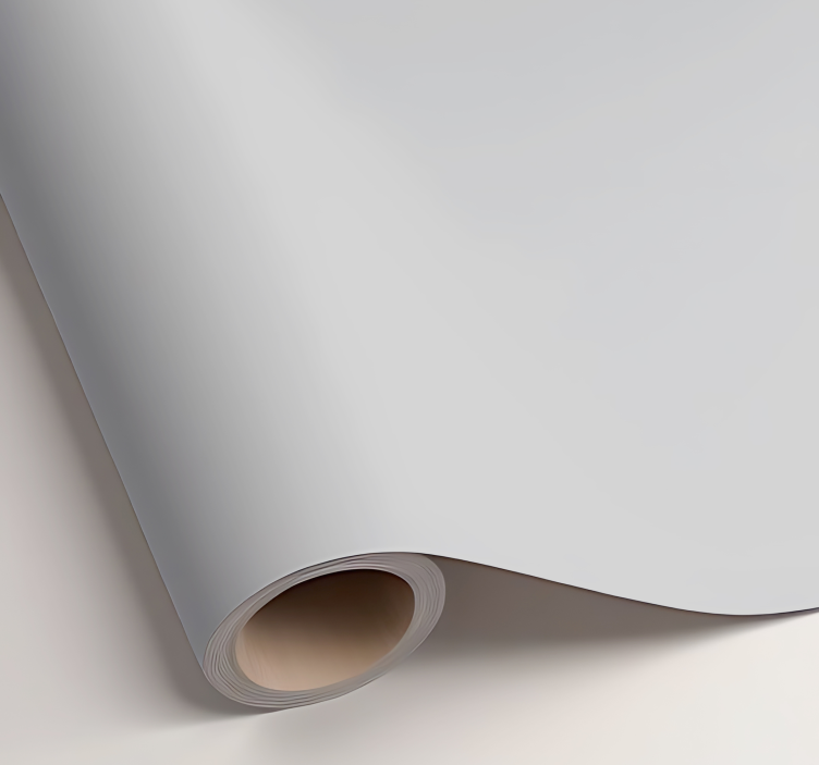 乙烯基贴纸 哑光浅灰色 - TenStickers