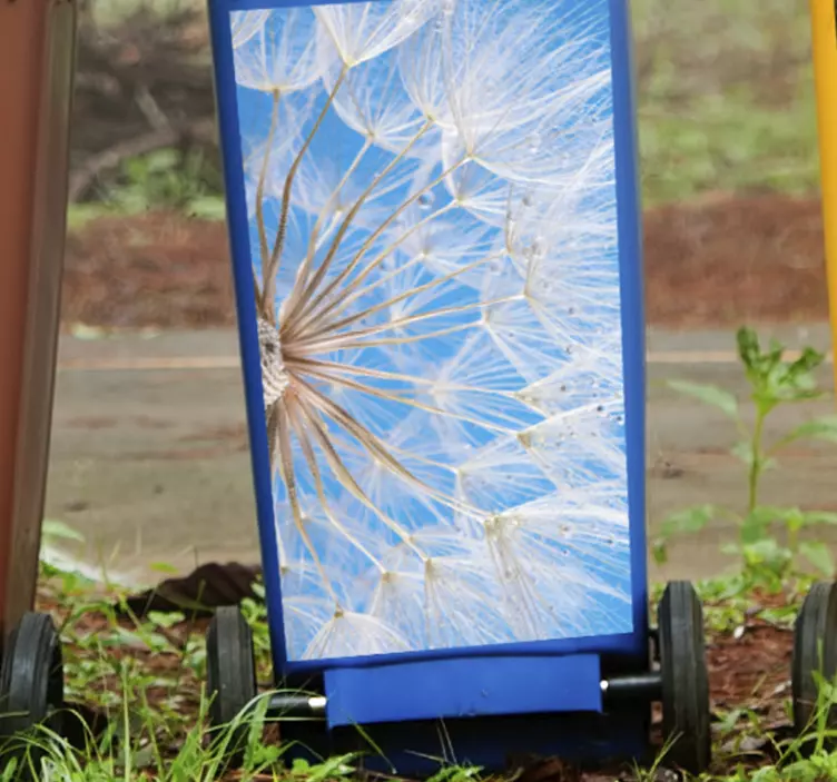 瓷砖贴纸 蒲公英花卉细节 - TenStickers