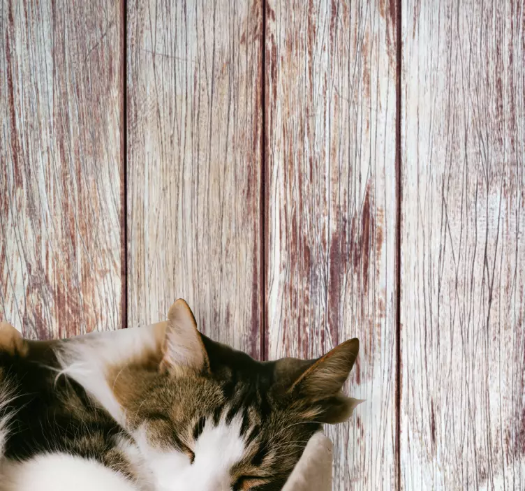 纹理贴纸适用于灰色木板纹理 - TenStickers