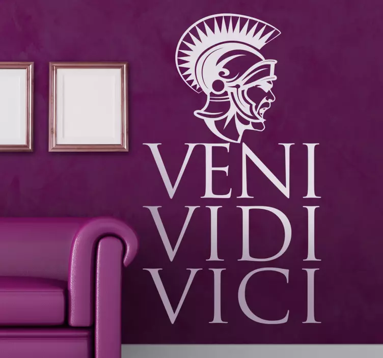 Veni vidi vici装饰贴纸 - TenStickers