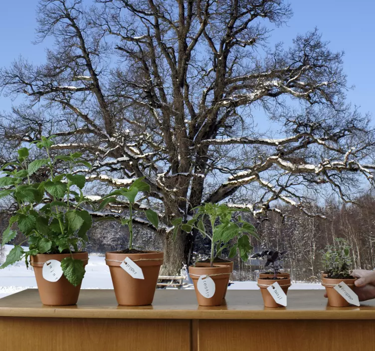 冬天树墙壁画 - TenStickers