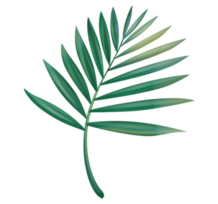 乙烯基地毯浴室叶子棕榈 - TenStickers