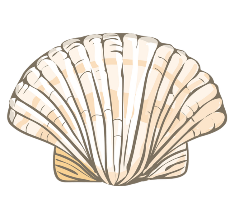 乙烯基地毯动物 贝壳插图 - TenStickers