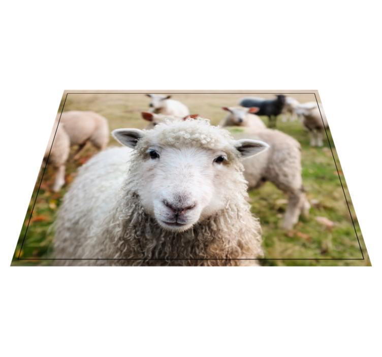 乙烯基地毯动物卷毛牧羊犬脸 - TenStickers