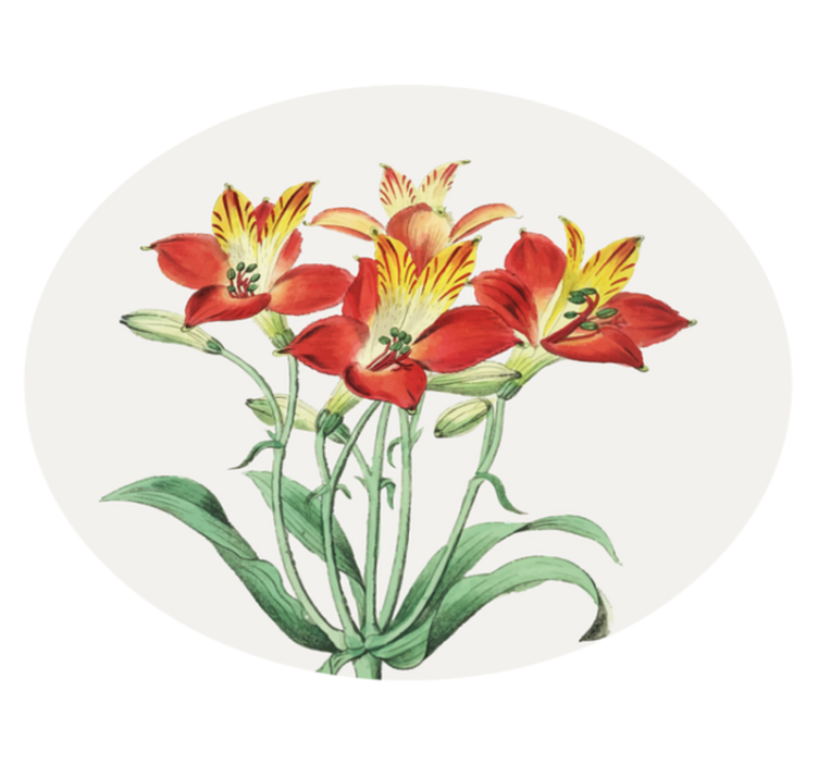 多彩的百合花在一起的花卉乙烯地毯 - TenStickers