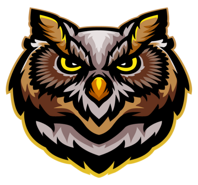 乙烯基地毯动物猫头鹰面部艺术 - TenStickers