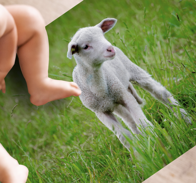 乙烯基地毯动物小羊羔站立 - TenStickers