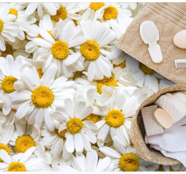 乙烯基地毯浴室雏菊花朵概念 - TenStickers