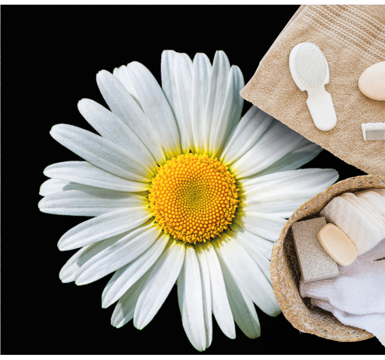 乙烯基花草地毯雏菊绽放 - TenStickers