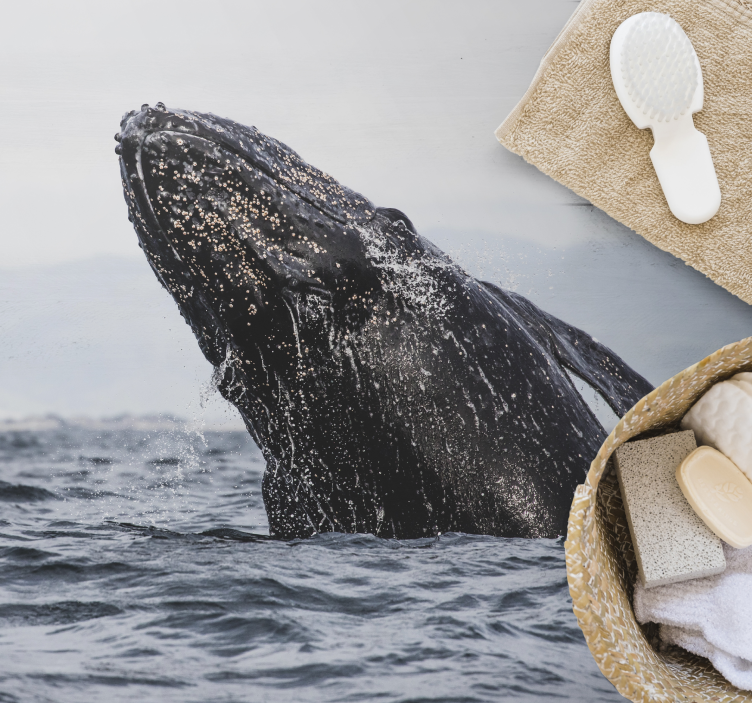 天然乙烯基地毯壮丽鲸跃 - TenStickers