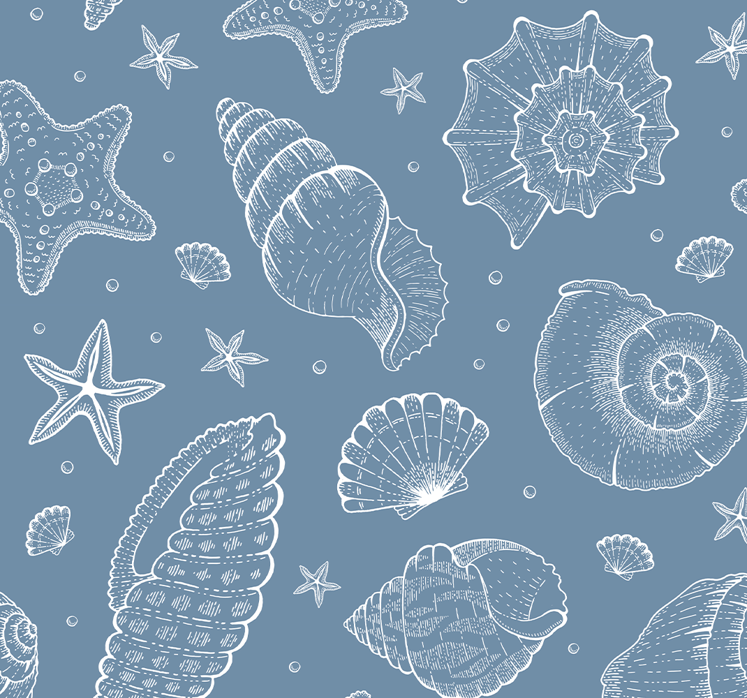 卧室乙烯基地毯展现海洋生物与贝壳 - TenStickers
