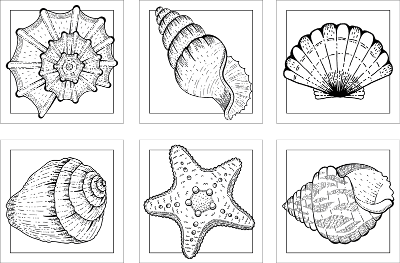 乙烯基地毯浴室与海洋生物及贝壳瓷砖 - TenStickers