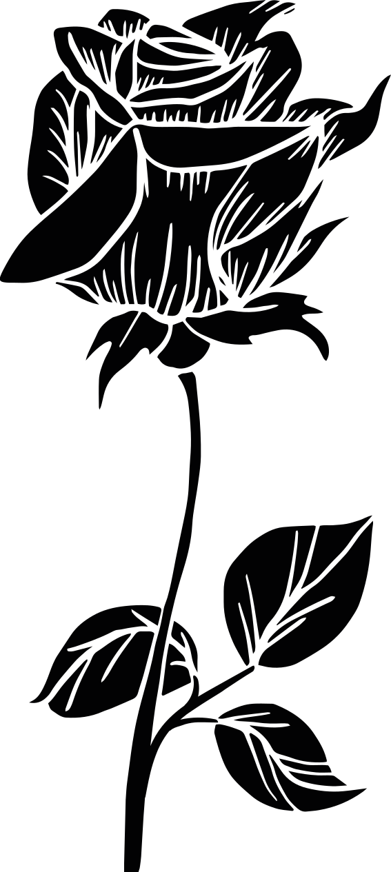 乙烯基地毯浴室玫瑰花淋浴屏幕 - TenStickers