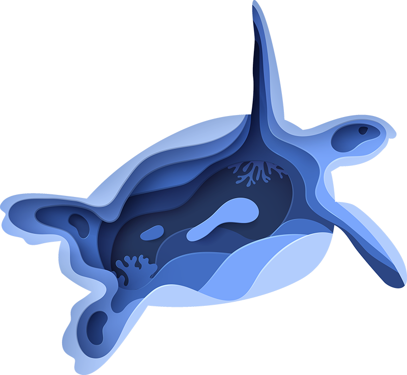 乙烯基地毯动物 海龟形状 - TenStickers