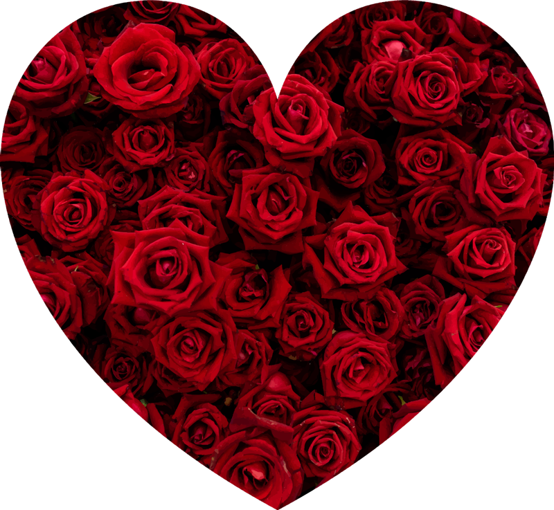 乙烯基花草地毯 心形的浪漫 - TenStickers