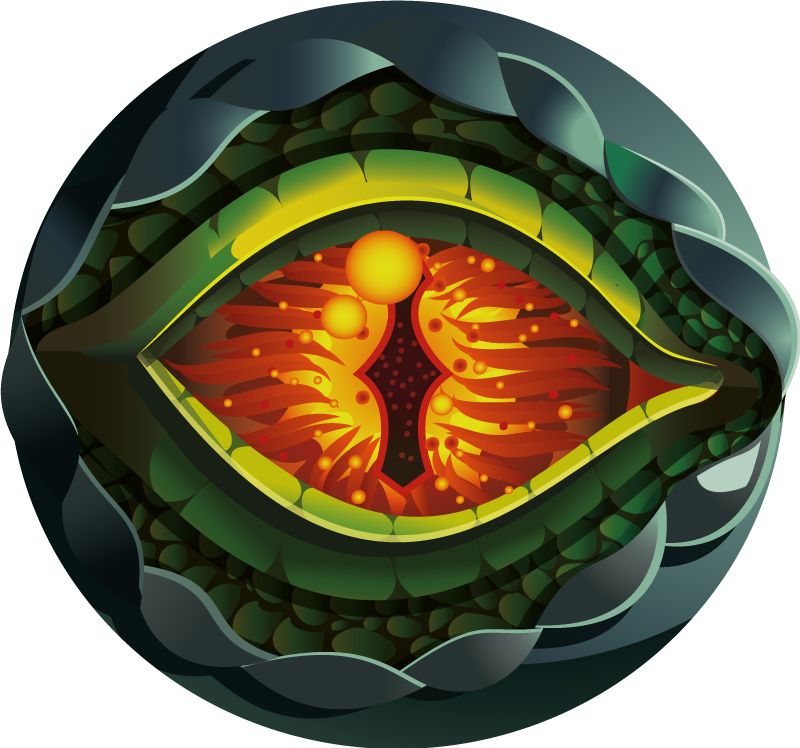 天然乙烯基地毯 抽象 自然 眼睛 - TenStickers