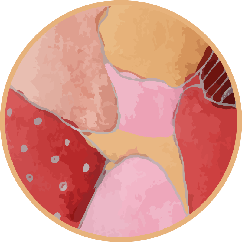 乙烯基地毯入口大厅生动花卉图案 - TenStickers