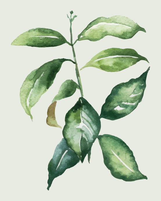 石灰棕榈叶碎花地毯 - TenStickers