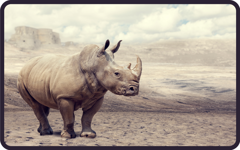 乙烯基地毯动物雄伟犀牛场景 - TenStickers