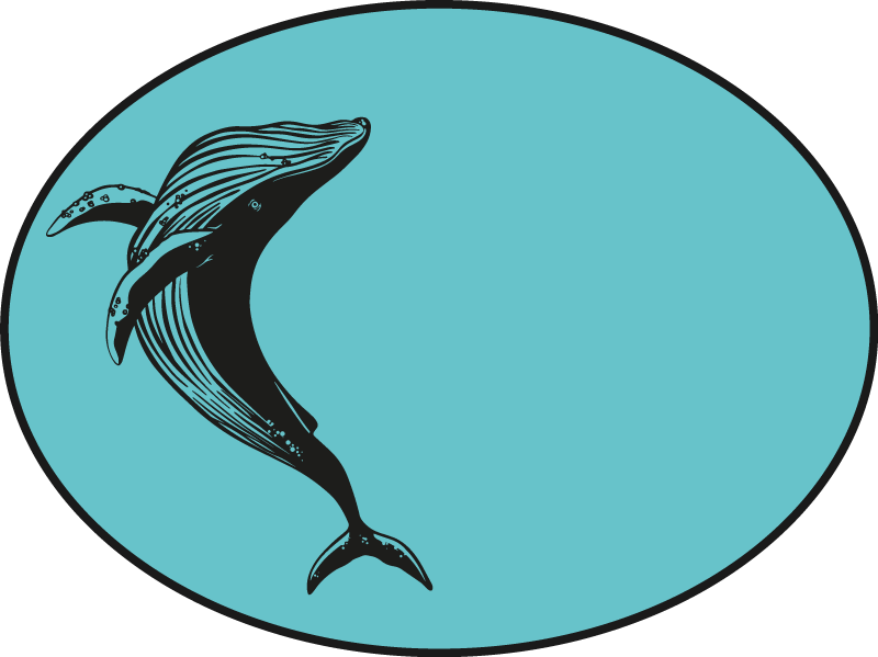 乙烯基地毯动物配有雄伟鲸鱼图案 - TenStickers