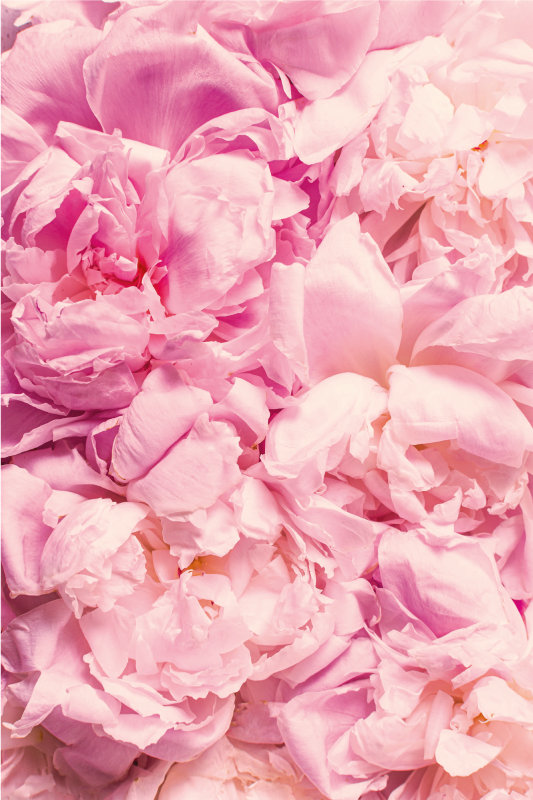 乙烯基地毯客厅柔和粉色细节 - TenStickers