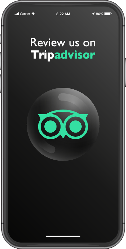 乙烯基地毯 请在tripadvisor上评价我们 - TenStickers