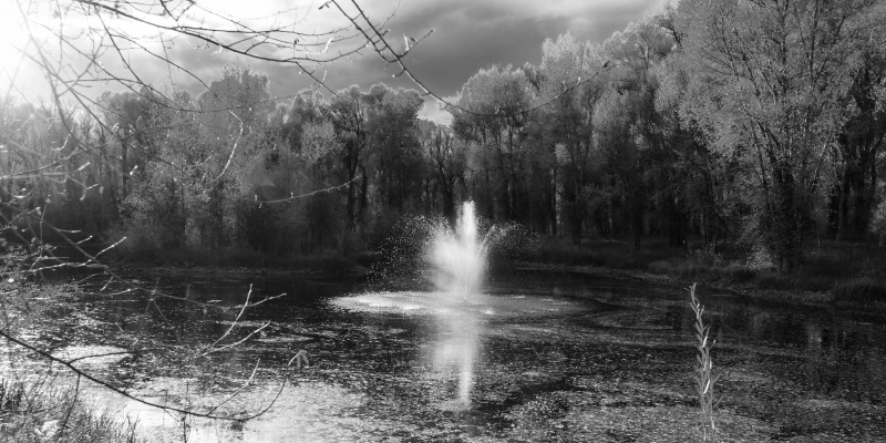 天然乙烯基地毯宁静瀑布景观 - TenStickers