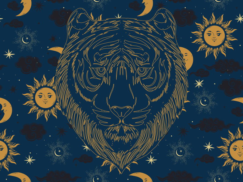 乙烯基地毯动物印花老虎与太阳 - TenStickers