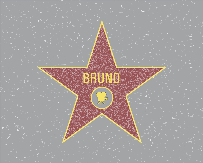 乙烯基地毯名称星级认可 - TenStickers