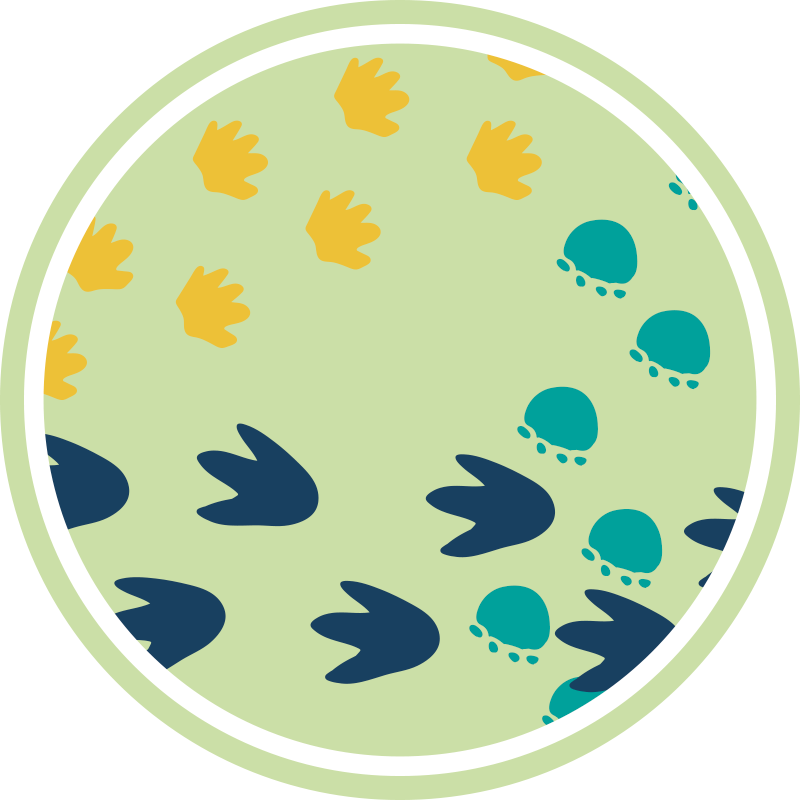 乙烯基地毯恐龙足迹设计 - TenStickers