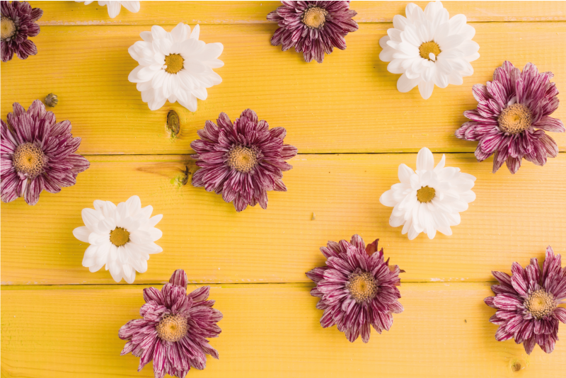 乙烯基花草地毯粉白色花瓣 - TenStickers