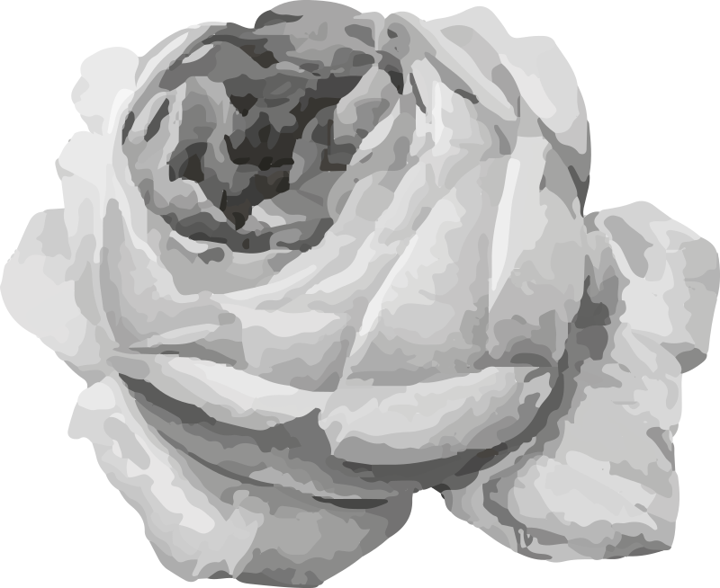 乙烯基花草地毯玫瑰盛开 - TenStickers