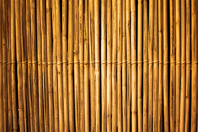 乙烯基地毯呈现竹纹理效果 - TenStickers