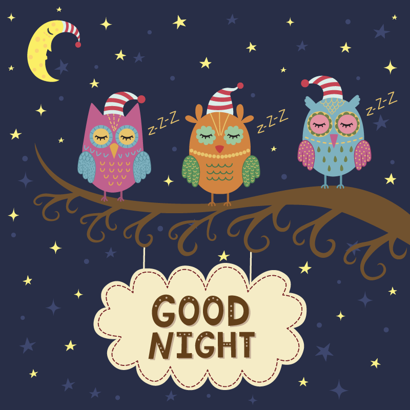 乙烯基地毯动物睡眠猫头鹰三重奏 - TenStickers