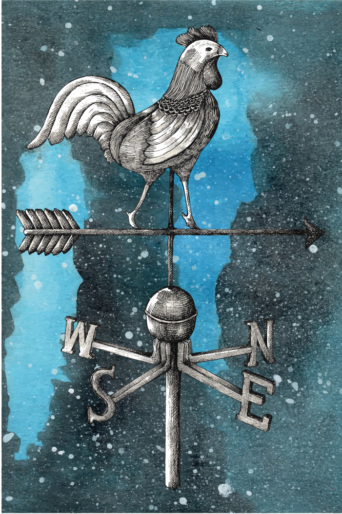 乙烯基地毯风向标公鸡 - TenStickers