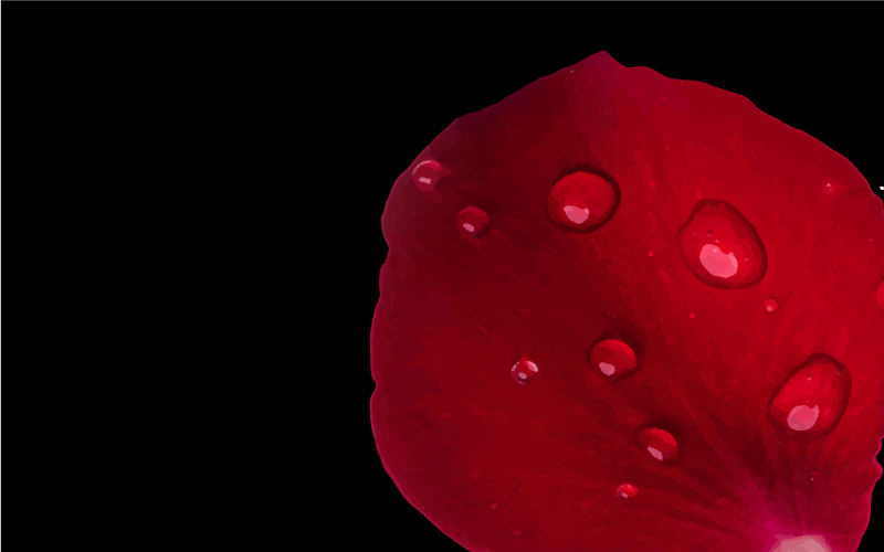 乙烯基地毯客厅 红色花瓣的魅力 - TenStickers